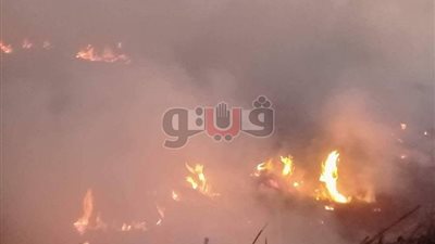 100 ألف جنيه غرامة حرق قش الأرز في الدقهلية