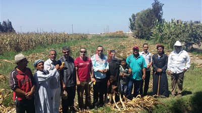 نقص مياه الري يهدد فلاحي بورسعيد ببوار أراضيهم.. «تقرير»