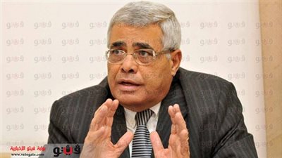 نافعة: التصويت على الدستور استفتاء على بطلان شرعية المعزول