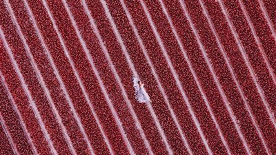 إبداع مصورة في دمج ملابس العارضات بالطبيعة (صور)