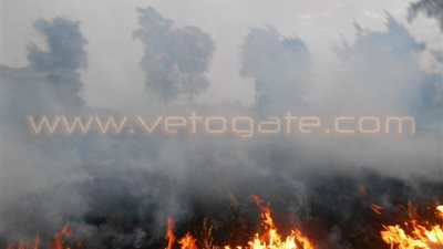 بالصور.. السحابة السوداء تغطي سماء الدقهلية بسبب حرق القش