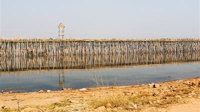 جسر البامبو.. حكاية كوبري يبنى ويهدم كل عام بكمبوديا (صور)
