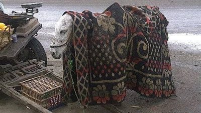 صورة بألف كلمة !