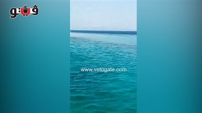 بالفيديو والصور.. تلوث بترولي بالبحر الأحمر شمال الغردقة