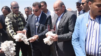 بالفيديو.. وزير الزراعة يفتتح موسم جني القطن في الفيوم