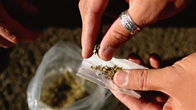 بالفيديو والصور.. تعرف على المخدرات المشروعة التي يتناولها الإنسان يوميا