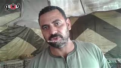 بالفيديو.. الطماطم تسجل 7 جنيهات في أسواق الجيزة