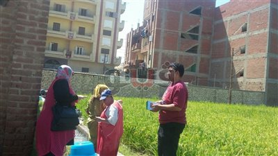 حملات للتوعية بمخاطر حرق قش الأرز والسحابة السوداء في طنطا