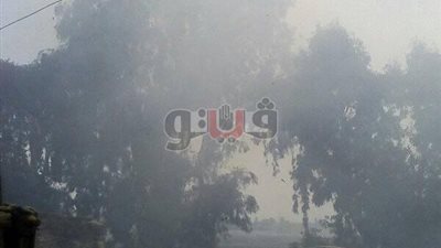 بالصور.. معاناة أهالي كفر الشيخ من السحابة السوداء «تقرير»