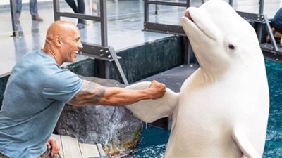 دوين جونسون يتعرض لهجوم شرس بسبب زيارته لـ«حوض أسماك»