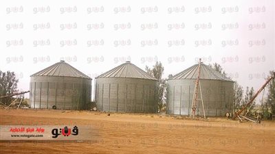 وزارة التموين توافق على إنشاء صومعة قمح بالوادى الجديد