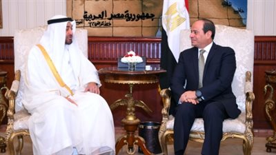 ولي عهد أبوظبي يغادر القاهرة بعد لقاء السيسي