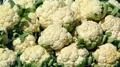 تناول القرنبيط يحمي من الإصابة بالسرطان