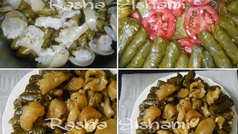 فيتو