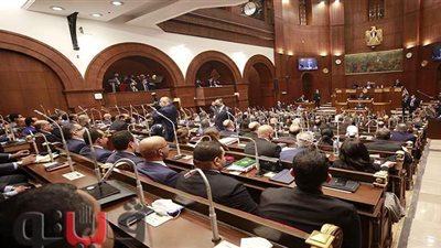 مجلس الشيوخ يعلن خلو مقعد النائب فاروق مجاهد