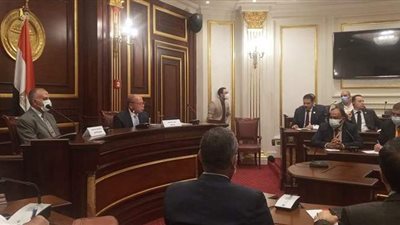 رئيس دفاع الشيوخ: نهر النيل أساس وجود مصر وليس مصدرا للمياه فقط