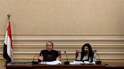 وزيرة التجار تستعرض ملامح قانون المشروعات الصغيرة أمام مجلس الشيوخ