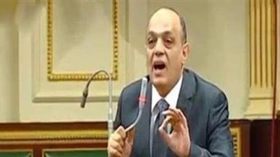 برلماني: نظام الباكيات يقضي على الأسواق العشوائية ويحمي الباعة الجائلين