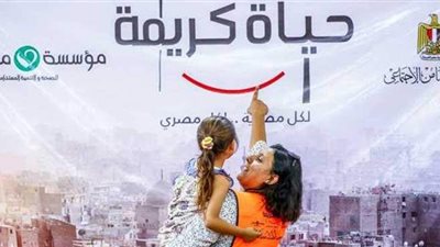 رفع قدرات المحولات الكهربائية لقرى كفر الشيخ ضمن «حياة كريمة»