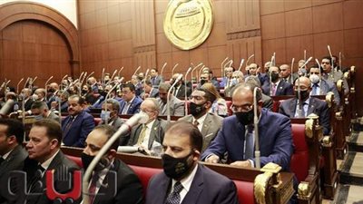 أزمة بين نواب الشيوخ ووزير التعليم.. ورئيس المجلس يعاتبه