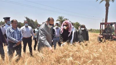 بعد حصاد 350 فدانا.. توريد 927 طن قمح بشون وصوامع أسيوط
