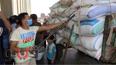 محافظ المنوفية يشهد بدء توريد موسم القمح بصوامع منوف | صور