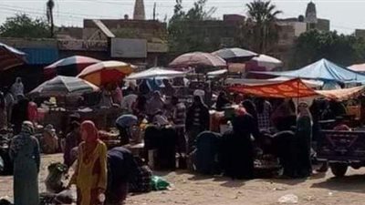 برلمانيون: الأسواق المجمعة وحصر أعداد الباعة الجائلين يقضيان على الأسواق العشوائية