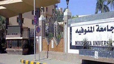 حيثيات إلغاء قرار رئيس جامعة المنوفية بمجازاة عميد هندسة شبين الكوم