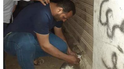 غلق ورشتين بالمنيا لمخالفة مواعيد الغلق الصيفية