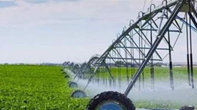 خطة لري المحاصيل خلال الموجة الحارة بالوادي الجديد