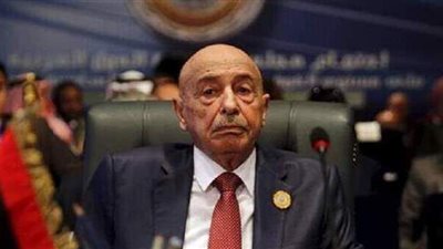 النواب الليبي يطالب المجلس الرئاسي والجيش باتخاذ الإجراءات اللازمة على الحدود التشادية