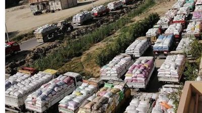 توريد ٩ آلاف طن قمح بشون ومطاحن الفيوم