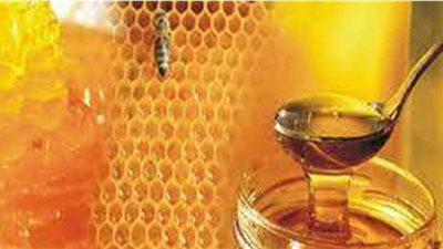 ضبط 17 طن عسل نحل غير صالح للاستهلاك الآدمى داخل مصنع ببولاق الدكرور