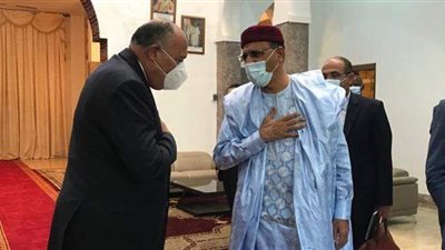 وزير الخارجية يسلم رئيس النيجر رسالة من السيسي بشأن سد النهضة