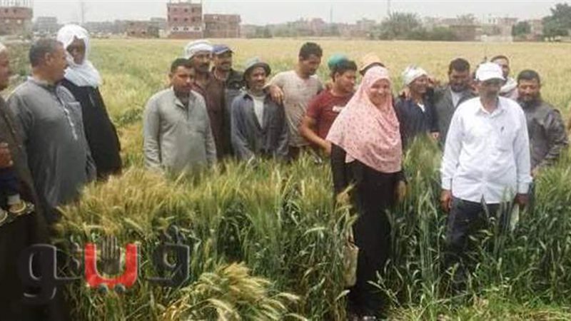 جانب من المدرسة