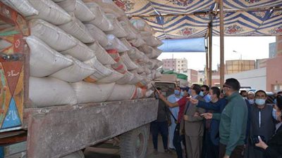 أيمن مختار: الدقهلية المحافظة الأولي في إنتاج القمح
