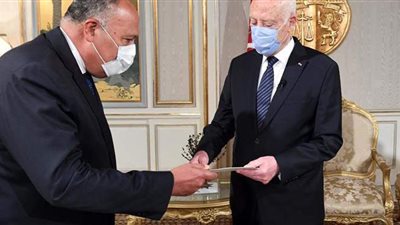 في نهاية جولته الأفريقية.. وزير الخارجية يُسلم رئيس تونس رسالة من السيسي