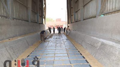 توريد 6 آلاف و534 طن قمح وتنفيذ 23 إزالة فورية بالمنوفية