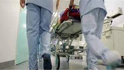 إصابة طفل بإعياء شديد بعد استنشاقه مبيدا حشريا في الدقهلية