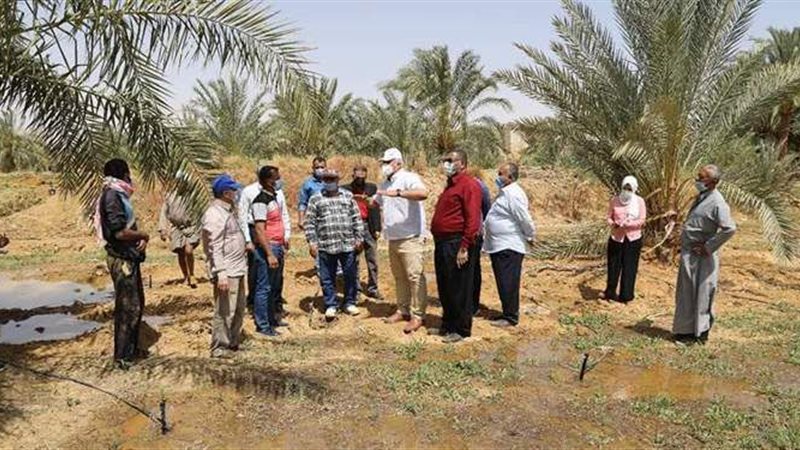 اللواء محمد الزملوط