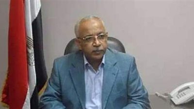 عبدالمنعم الجمل: الانتصارات تتوالى بالإنجازات التنموية على أرض الفيروز