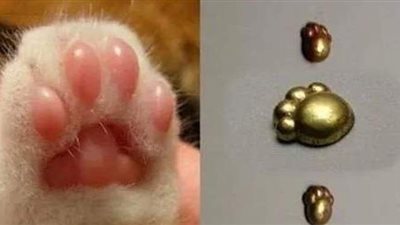 تعود لـ 2700 عام مضت.. أقدام القط الذهبية تثير جدلًا واسعًا في الصين