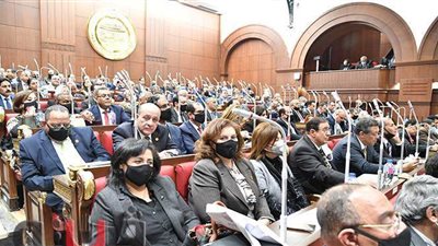 مجلس الشيوخ يهنئ الرئيس السيسي بذكرى تحرير سيناء