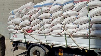 شون وصوامع المنيا تستقبل 7865 طن قمح
