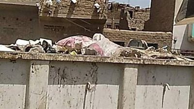 رفع 6 أطنان مخلفات بشوارع الزينية في الأقصر