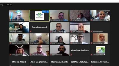 الطيران المدني تشارك في ورشة عمل لمناقشة تخفيف تلوث الهواء بالكربون