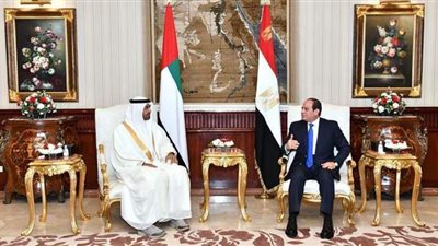 سد النهضة وتعزيز وحدة الصف العربي والتحديات.. تتصدر مباحثات السيسي وبن زايد