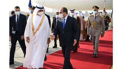السيسي معبرا عن سعادته بلقاء بن زايد: بحثنا معًا العديد من القضايا الإقليمية والدولية المشتركة