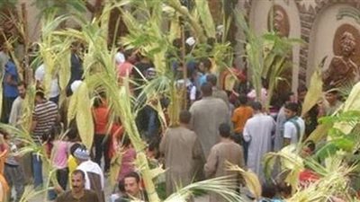احتفال الأقباط بحد السعف اليوم