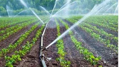 حوافز لمزارعي الفيوم للتحول إلى الري الحديث